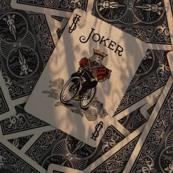 پاسور کتان 2